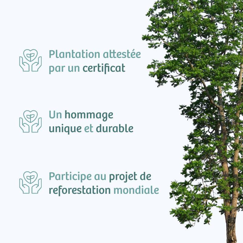 Planter un arbre en hommage à M. Didier LABENNE